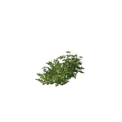 Plant 53_LOD_2